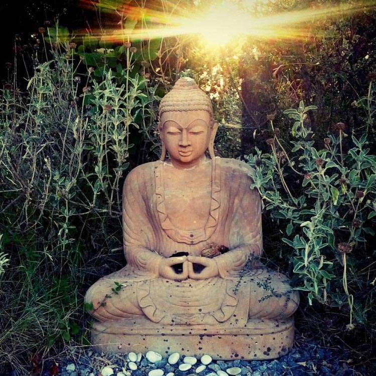 Buddha1-Square-750x750
